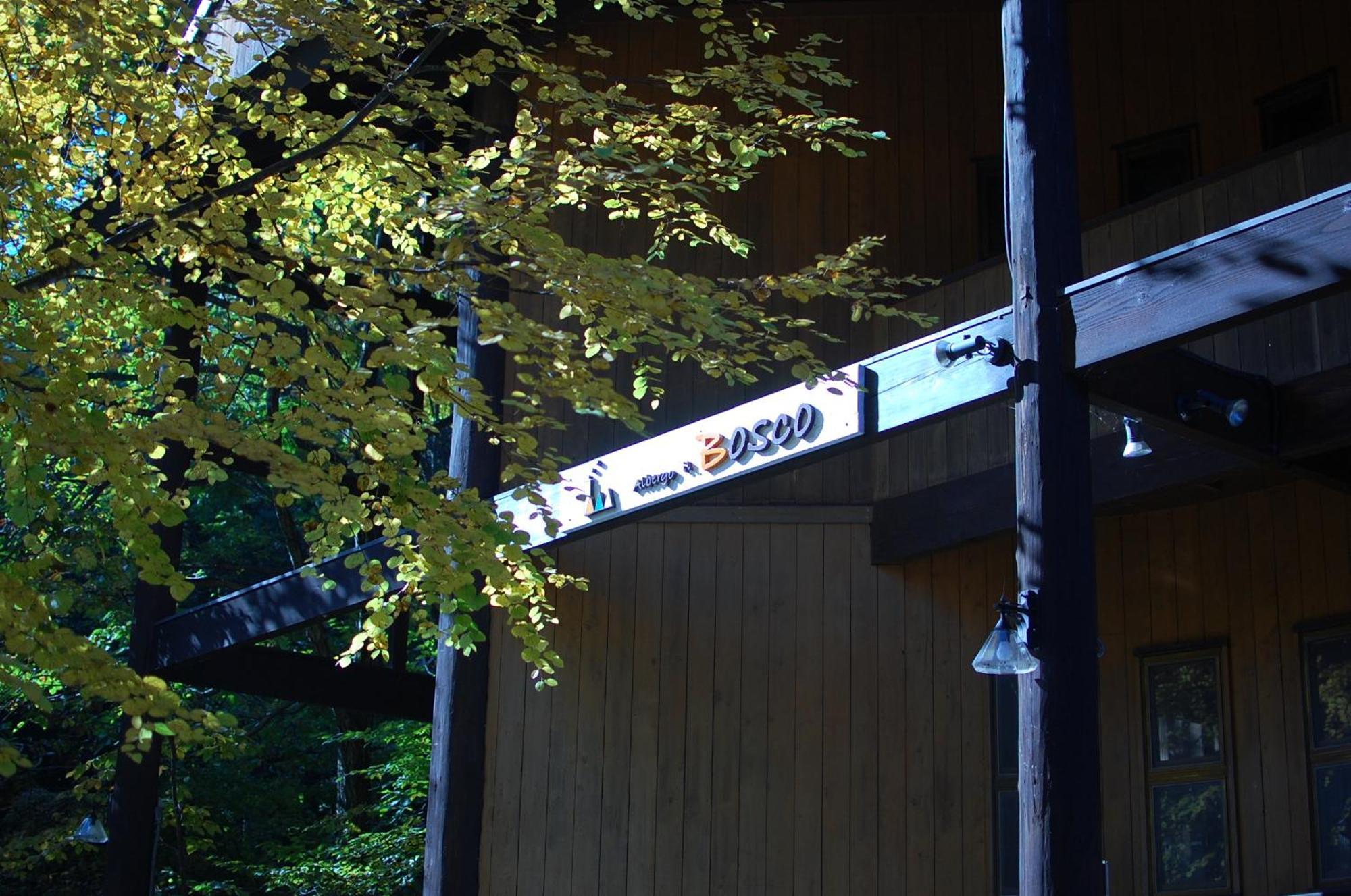 Il Bosco Vila Hakuba Exterior foto