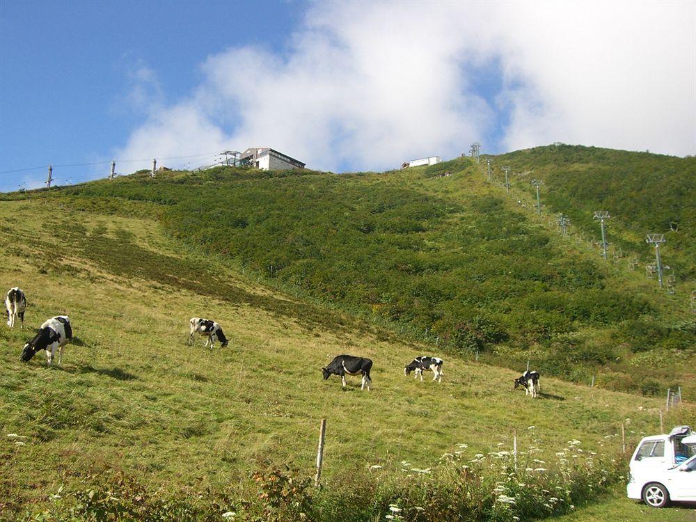 Il Bosco Vila Hakuba Exterior foto