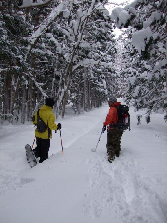 Il Bosco Vila Hakuba Exterior foto