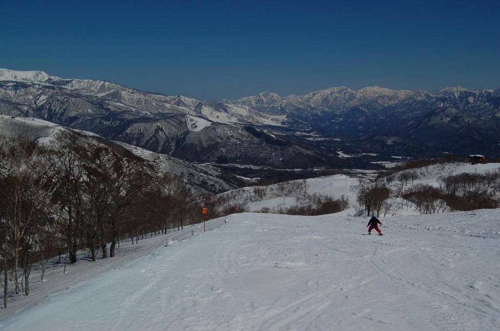 Il Bosco Vila Hakuba Exterior foto