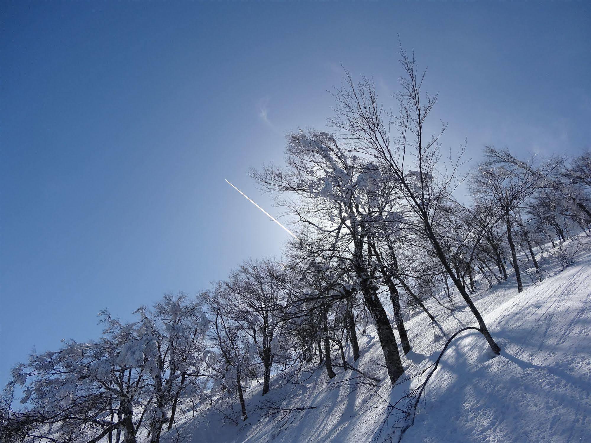 Il Bosco Vila Hakuba Exterior foto